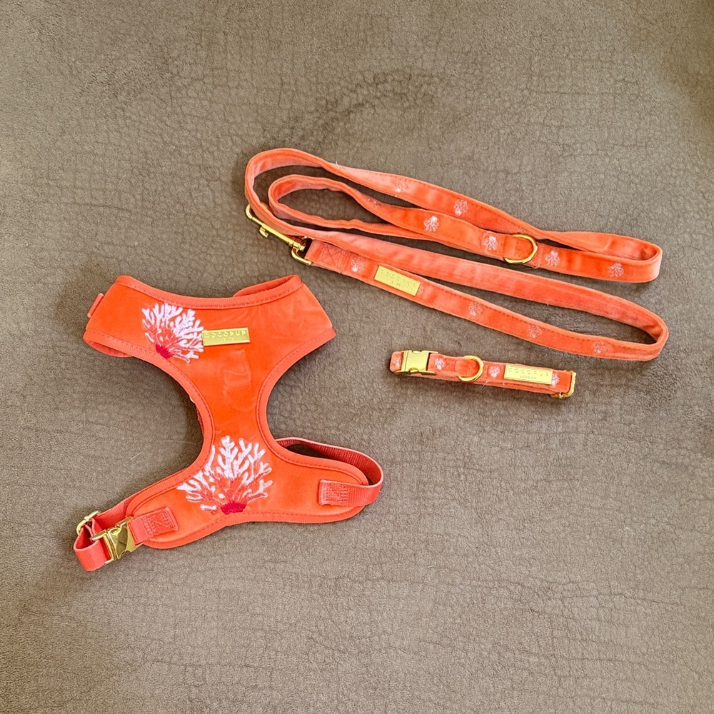 Coral Embroidered Dog Harness Leash Collar Set Gold Orange pink surfer beach fun